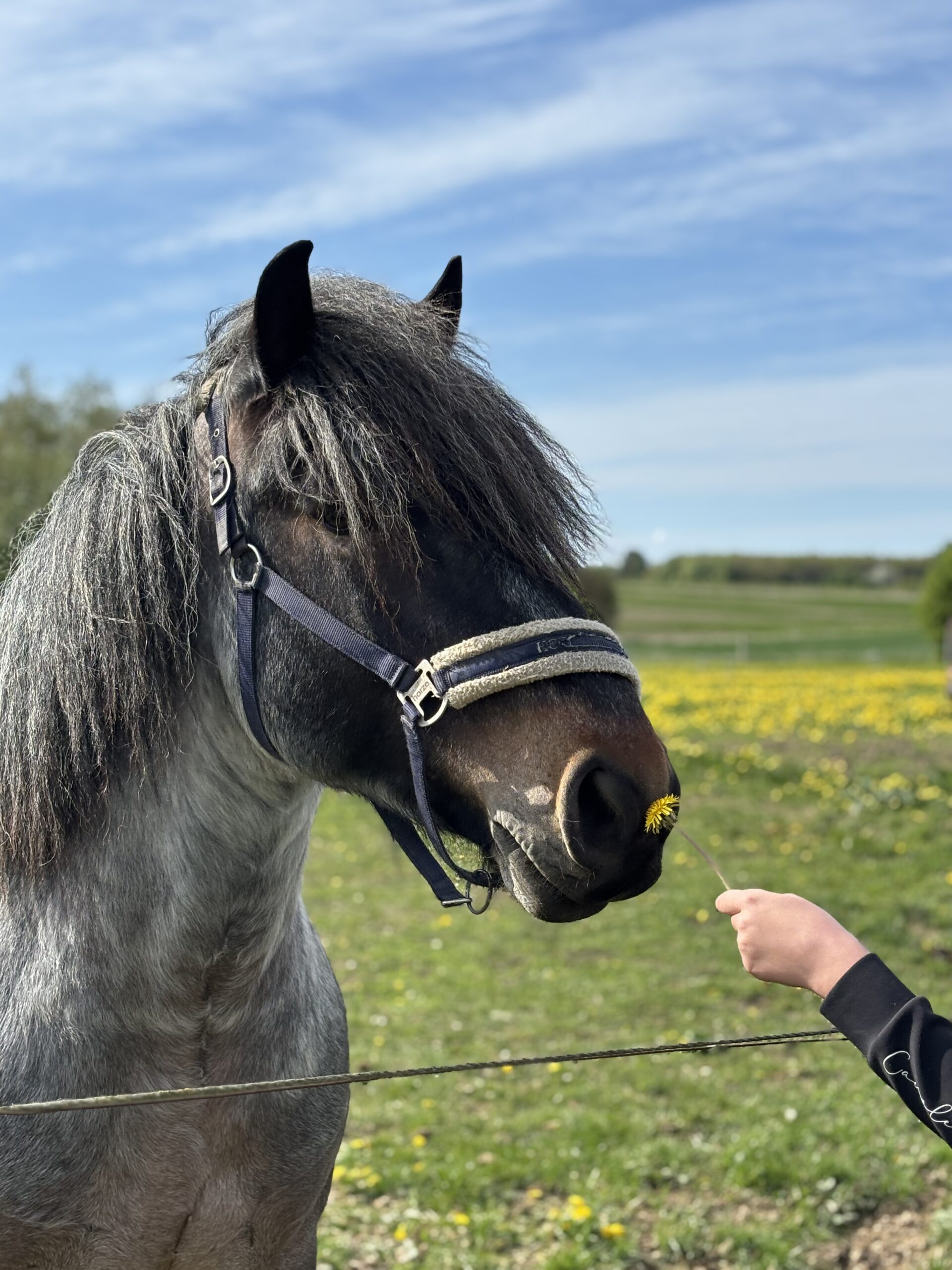 Referat fra generalforsamling 2026